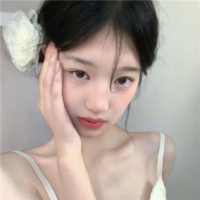 峠最后的武士
