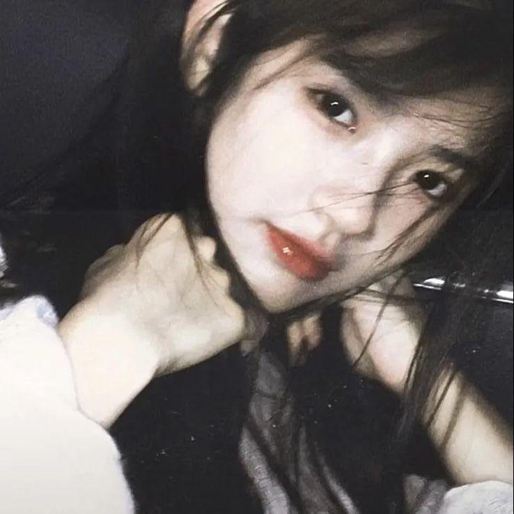 与鲨鱼游弋